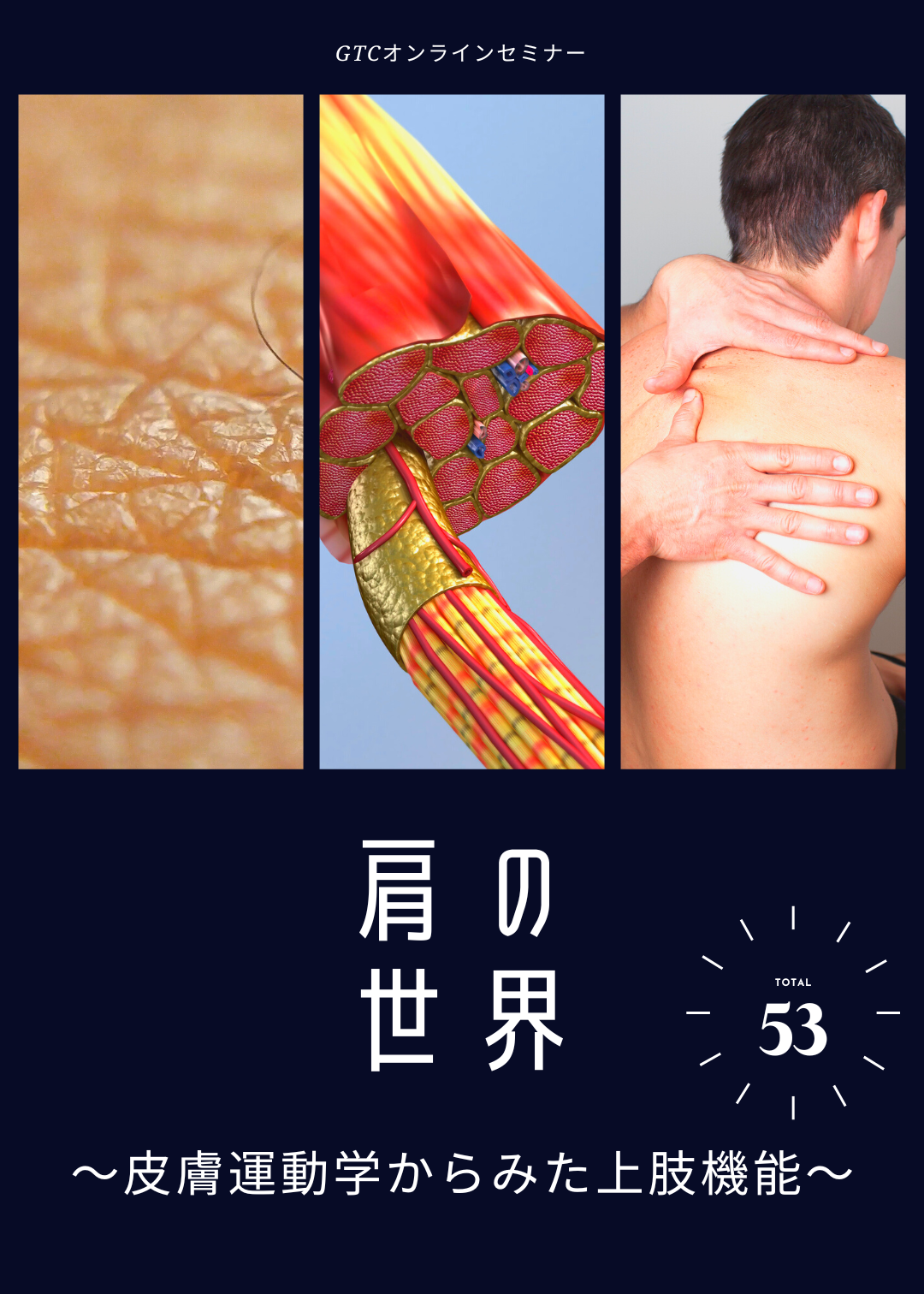 皮膚運動学からみる上肢機能