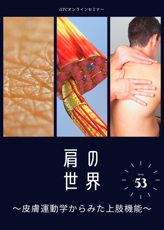 皮膚運動学からみる上肢機能