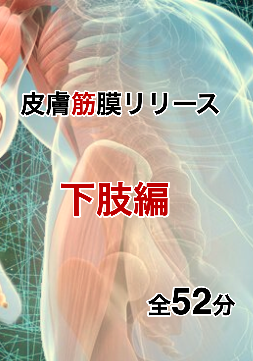 皮膚筋膜リリース〜下肢編〜購入者限定セール〜