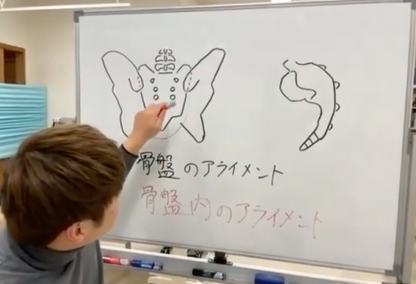 腰痛を骨盤のアライメントから考える