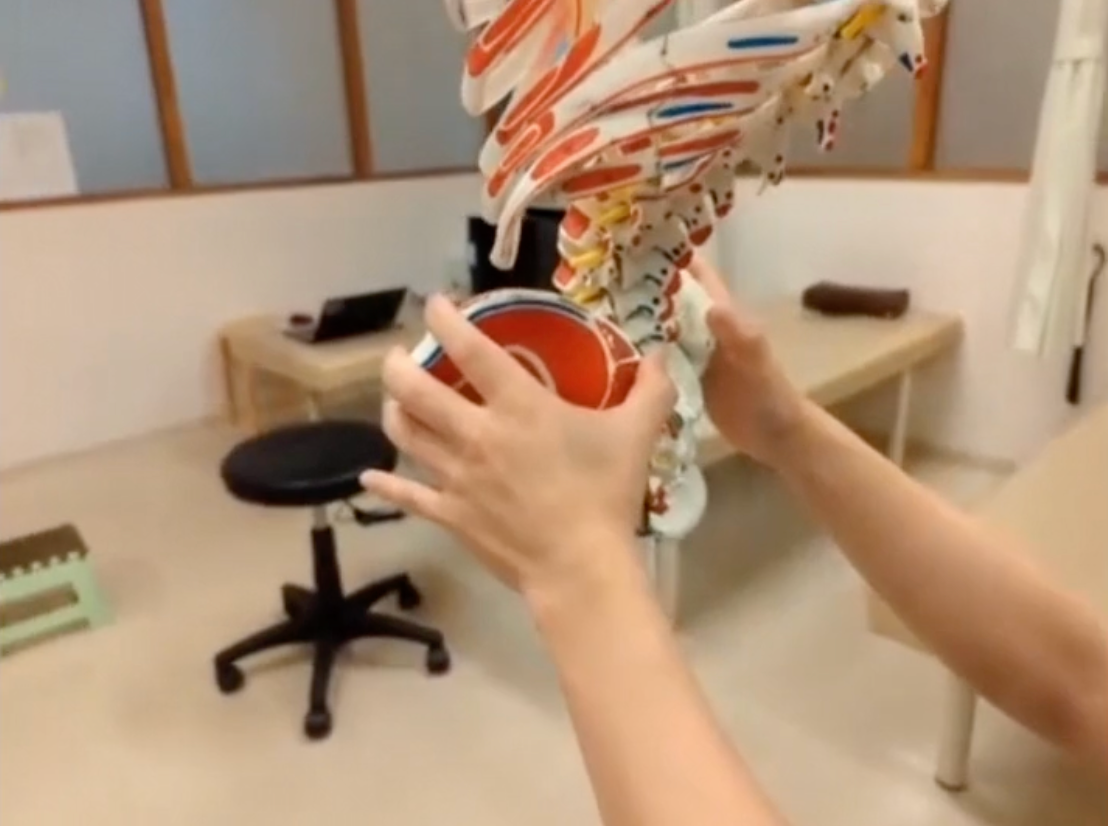 アライメントの診方をゼロから学ぶ