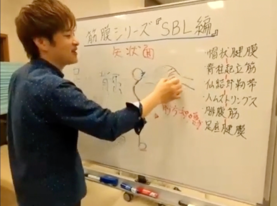 筋膜をゼロから学ぶ（SBL編）