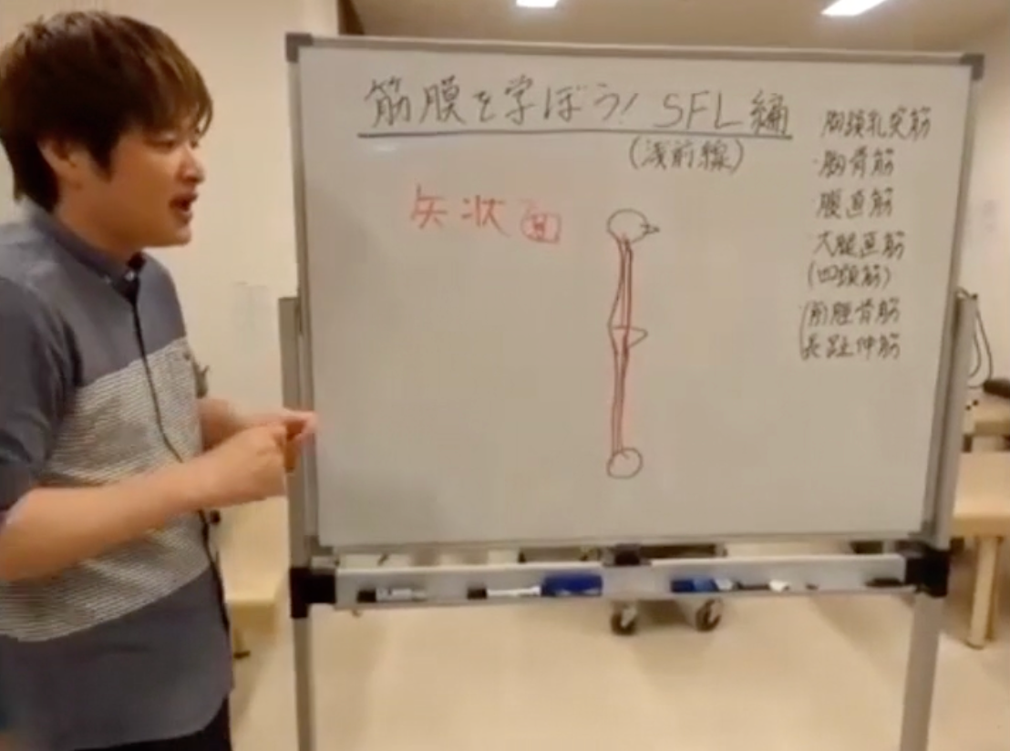 筋膜をゼロから学ぶ（SFL編）
