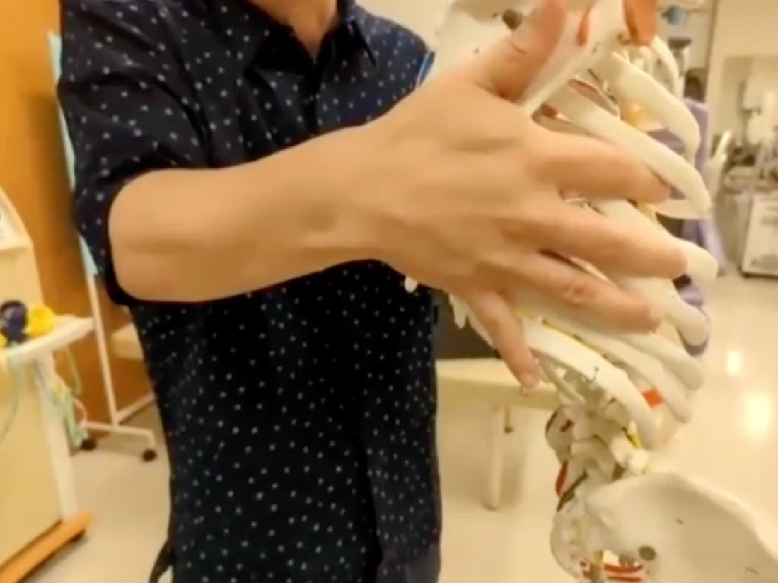 筋膜をゼロから学ぶ（LL編） (特別割引)