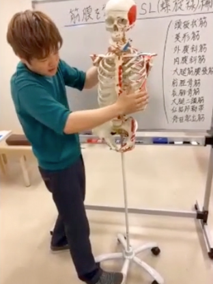 筋膜をゼロから学ぶ（SL編） (特別割引)