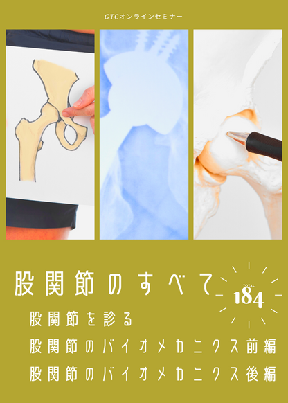 股関節のすべて