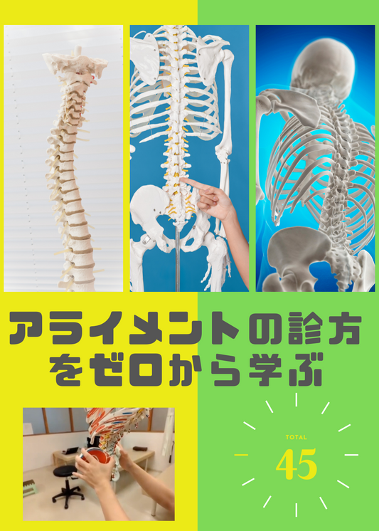 アライメントの診方をゼロから学ぶ