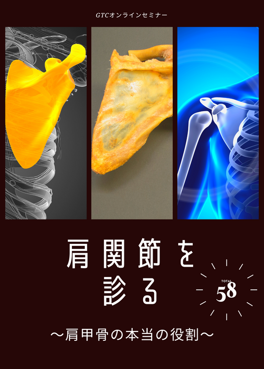 肩関節をみる〜肩甲骨の本当の役割〜