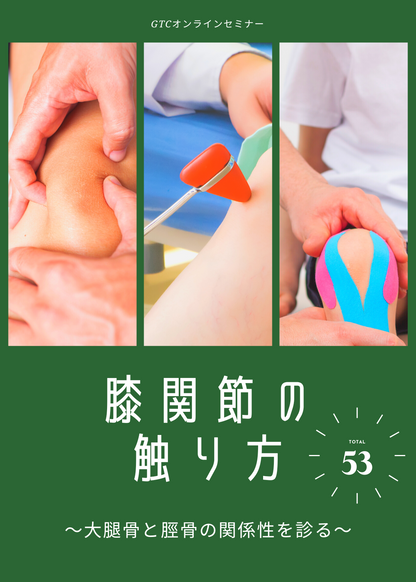 膝関節の触り方