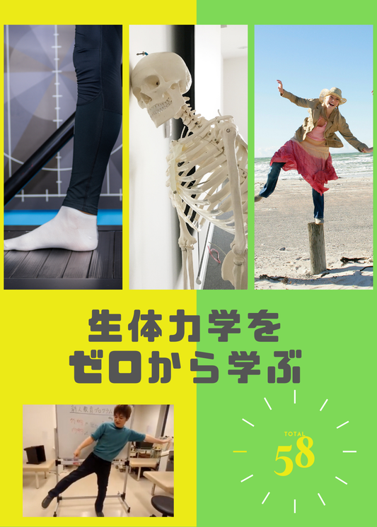 生体力学をゼロから学ぼう