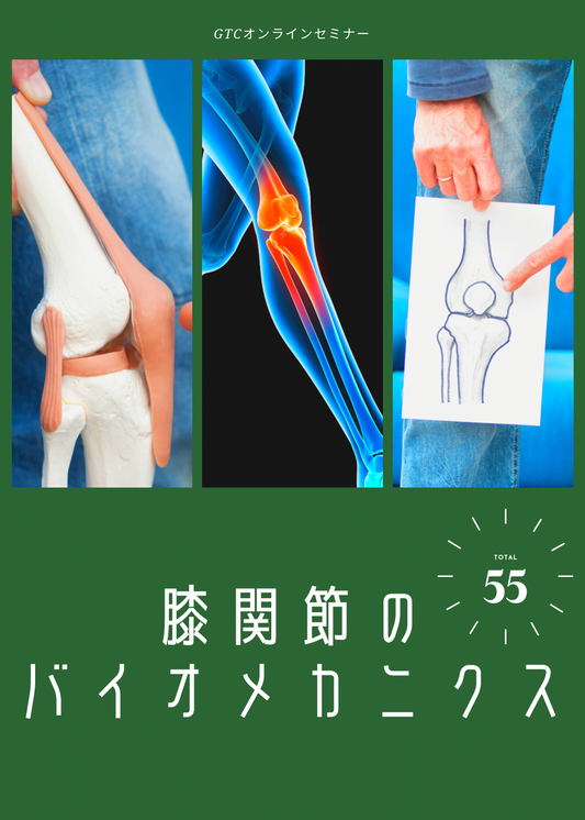 膝関節のバイオメカニクス