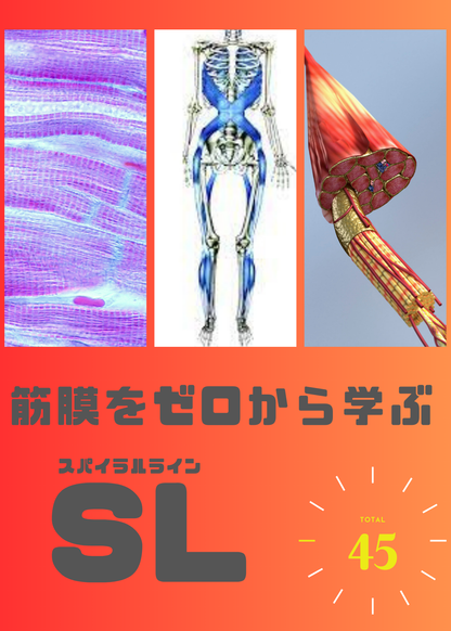 筋膜をゼロから学ぶ（SL編） (特別割引)
